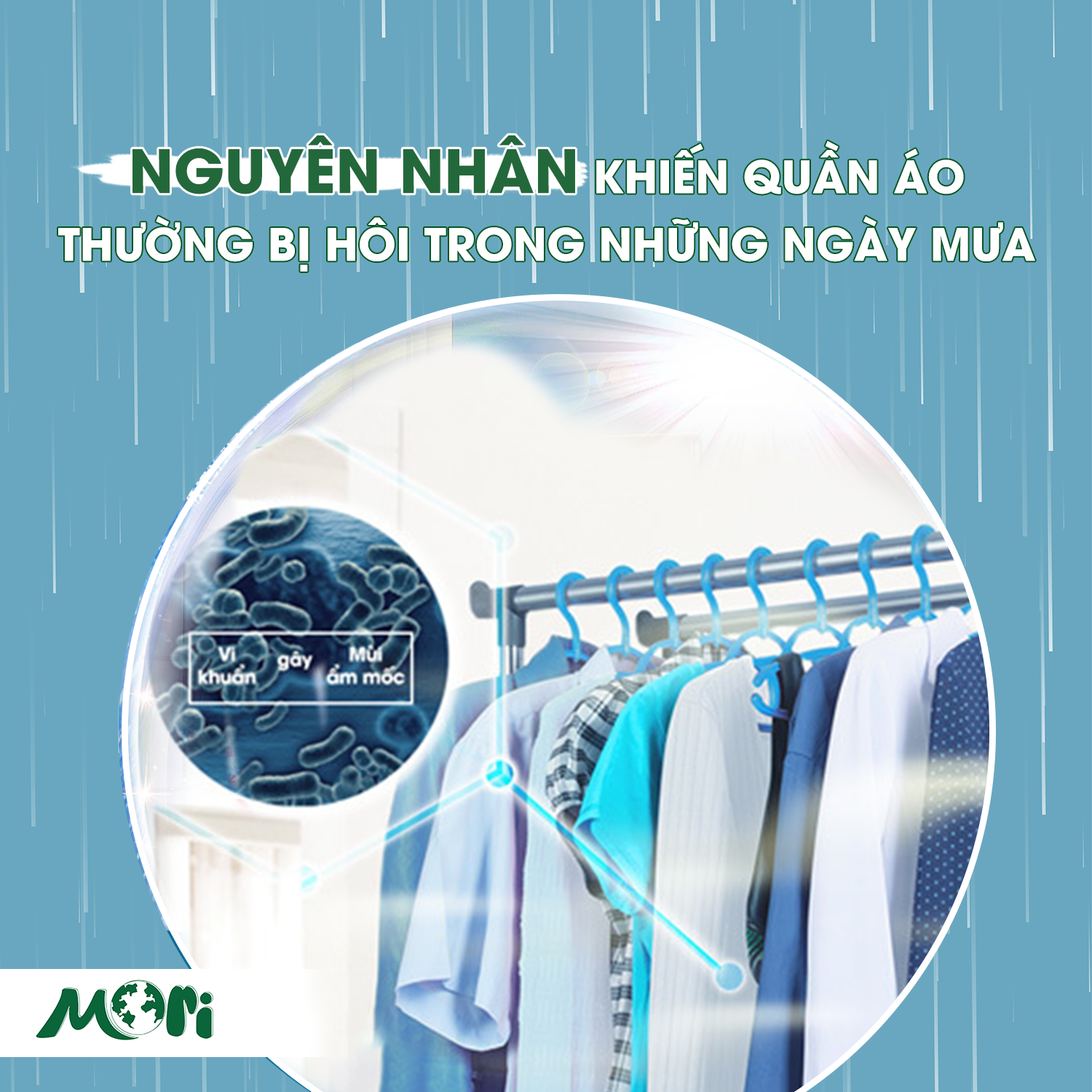Nguyên nhân khiến quần áo có mùi ẩm mốc và giải pháp khắc phục
