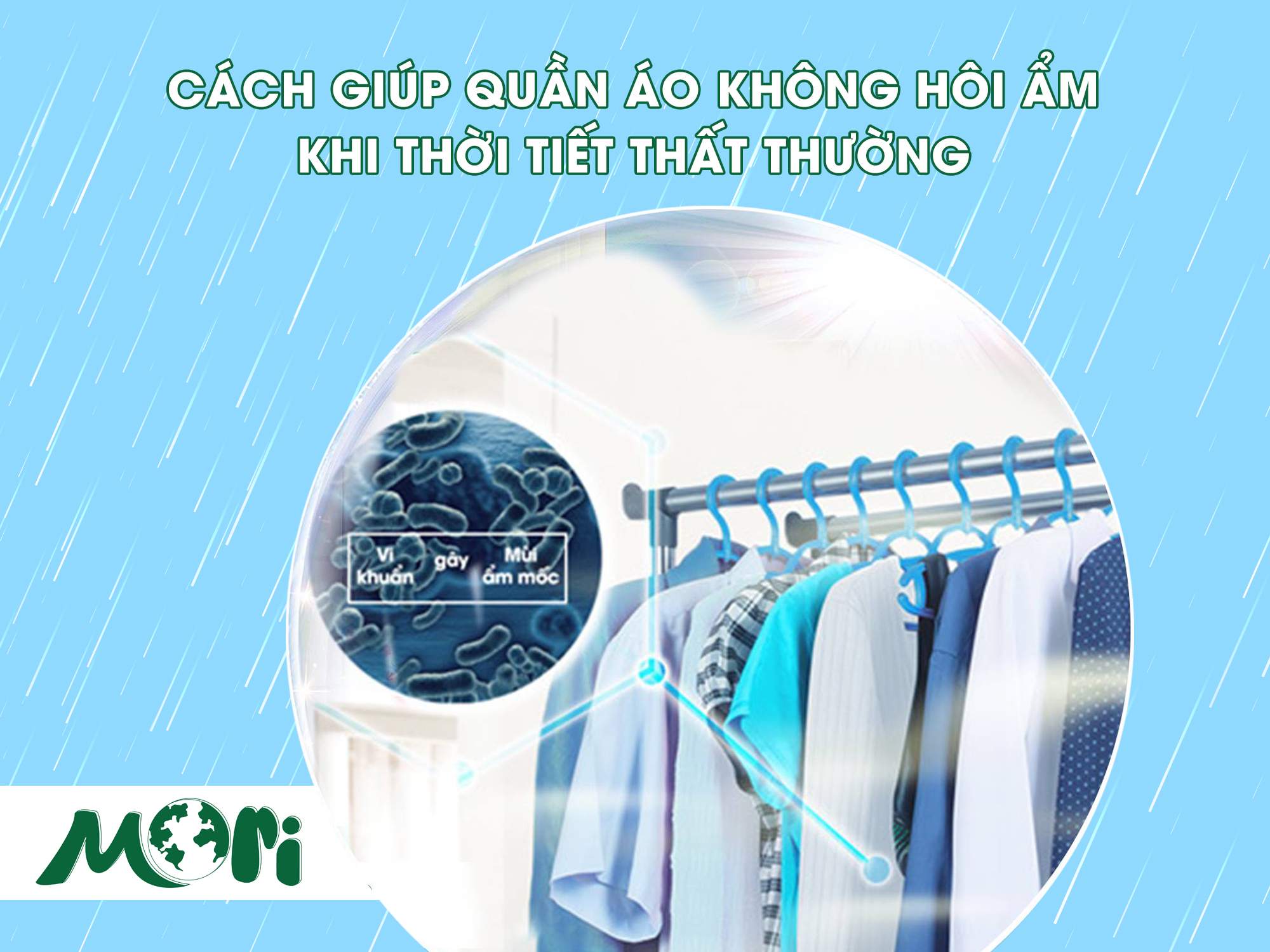 Cách giúp áo quần không hôi ẩm khi thời tiết thất thường