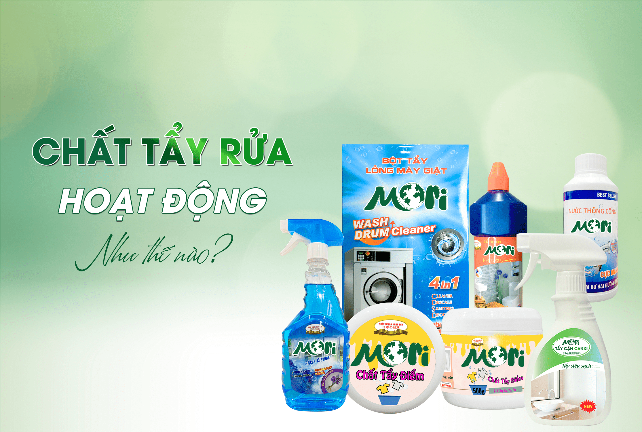 Cơ chế hoạt động của chất tẩy rửa