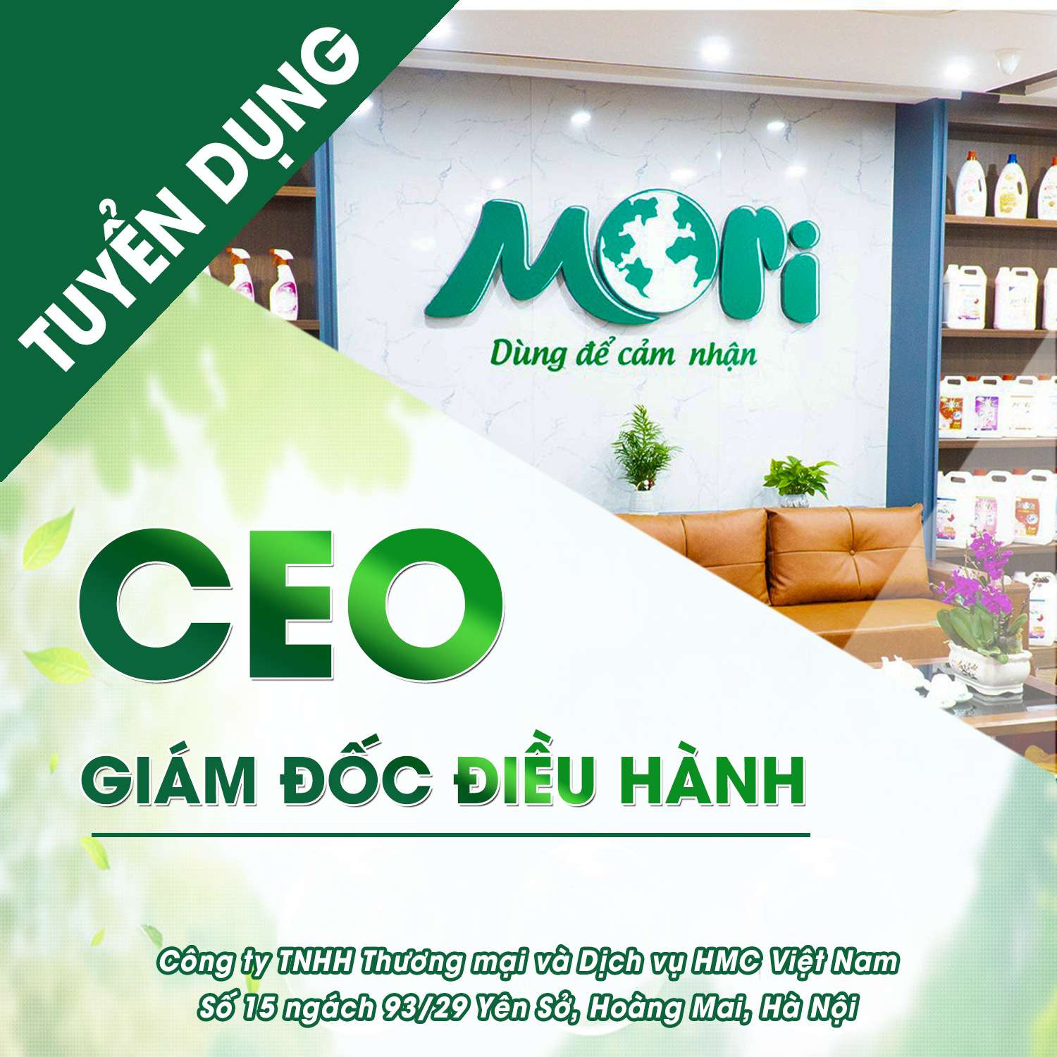 JOB TITLE: CHIEF EXECUTIVE OFFICER (CEO)