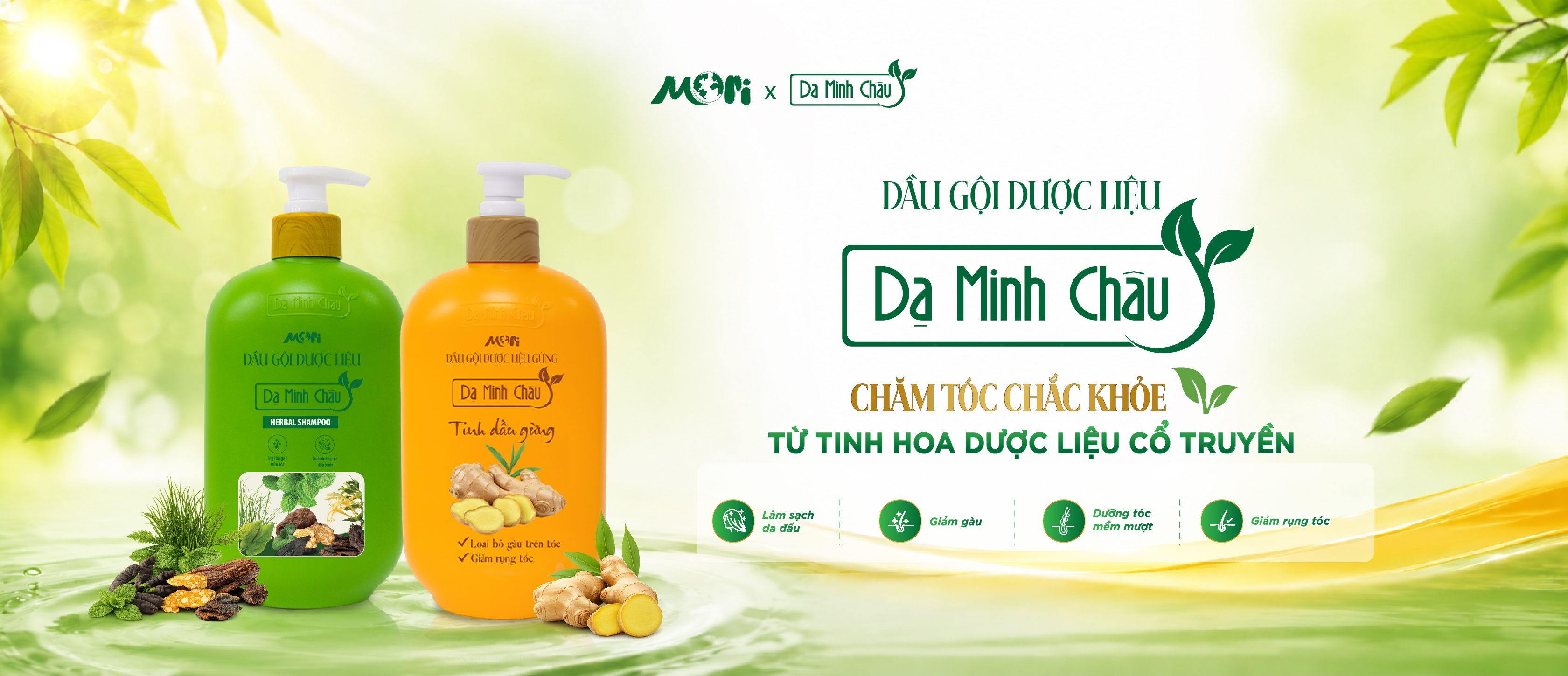 BỘ ĐÔI DẦU GỘI DƯỢC LIỆU DẠ MINH CHÂU - CHĂM SÓC TÓC CHẮC KHỎE TỪ DƯỢC LIỆU CỔ TRUYỀN VIỆT NAM!