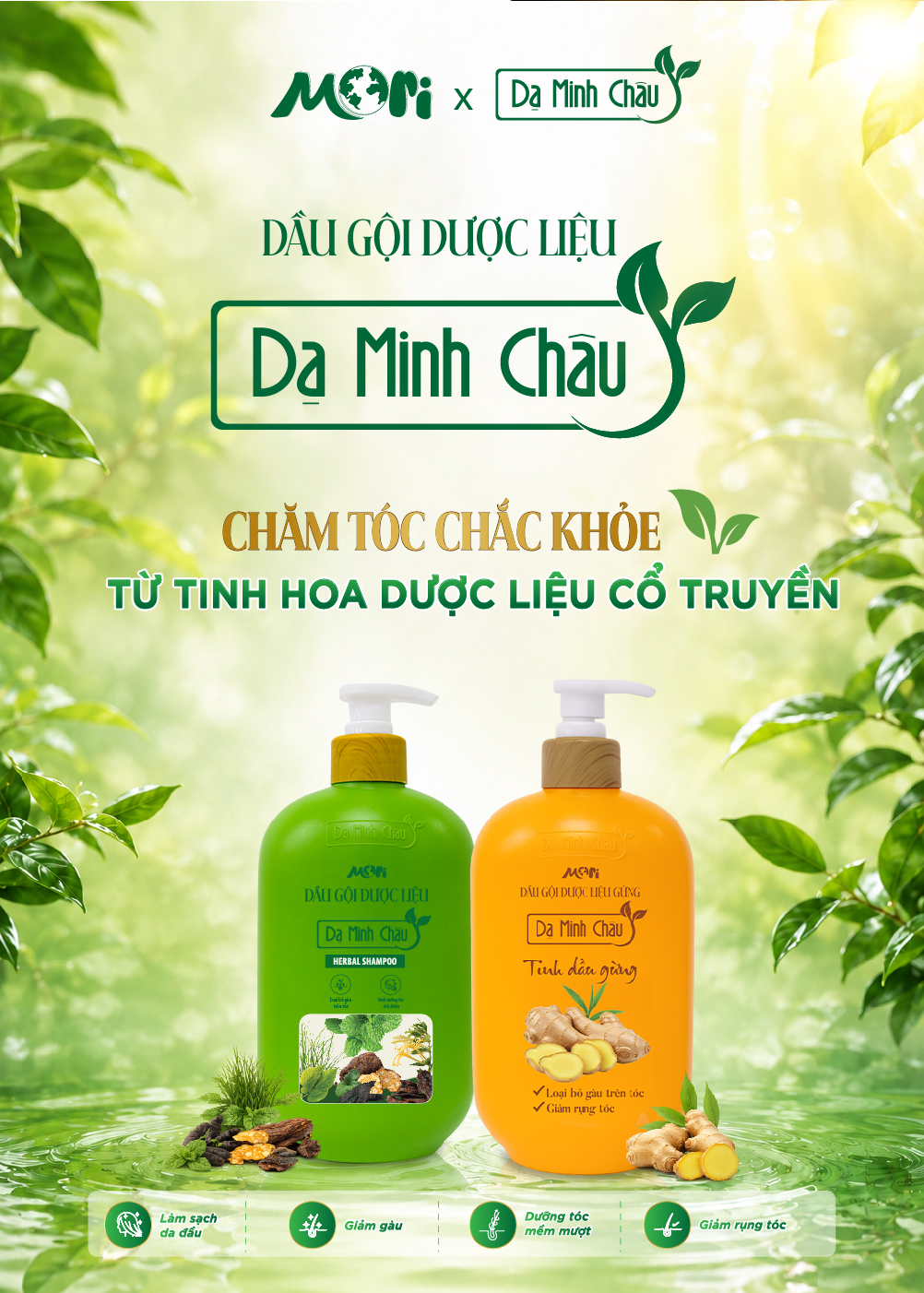 BỘ ĐÔI DẦU GỘI DƯỢC LIỆU DẠ MINH CHÂU - CHĂM TÓC CHẮC KHỎE TỪ TINH HOA DƯỢC LIỆU CỔ TRUYỀN